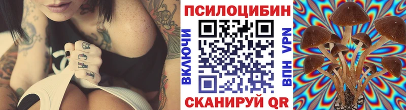 Купить где  Похвистнево  Псилоцибиновые грибы мухоморы 